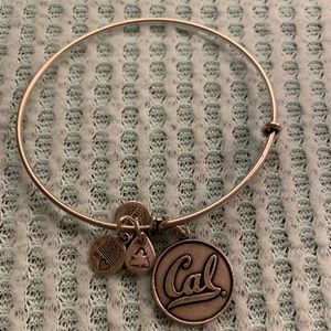 Silver Cal Alex and Ani charm bracelet